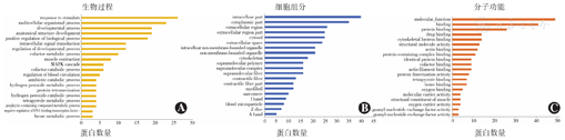 串联异常严重质谱的原因_串联质谱异常严重吗_串联质谱异常很严重吗