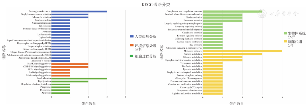 串联质谱异常很严重吗_串联异常严重质谱的原因_串联质谱异常严重吗
