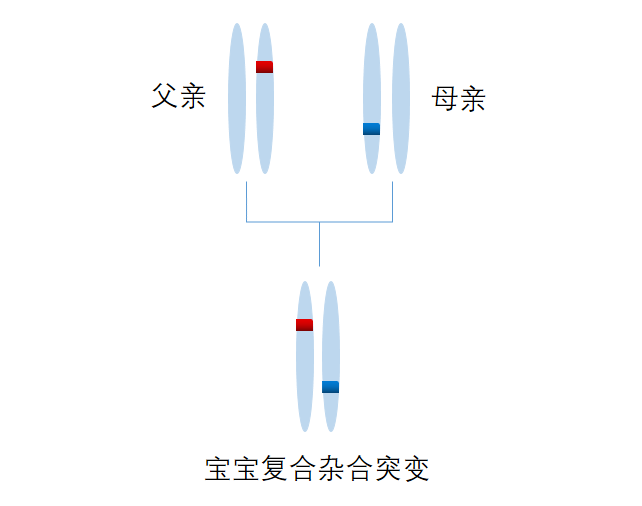 串联质谱筛查_串联质谱技术筛查的种类_串联质谱筛查检测